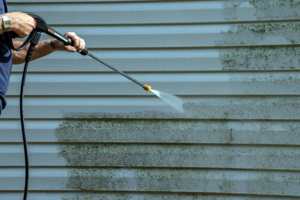 Best Fence Cleaning  in Mcmechen, WV
