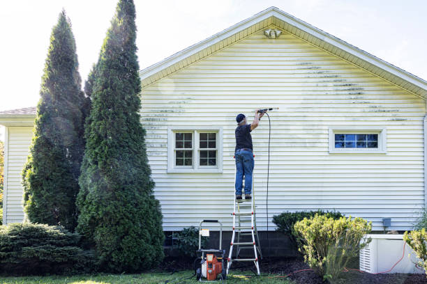 Best Residential Exterior Washing  in Mcmechen, WV